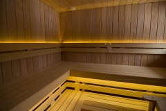 IMGP0607-finnish-sauna-steam-hamam-bath-russian-sauna-heaters-saunainter-com-saunamaailm