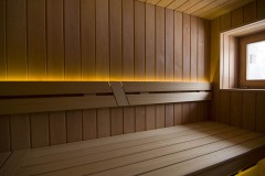 IMGP0612-finnish-sauna-steam-hamam-bath-russian-sauna-heaters-saunainter-com-saunamaailm