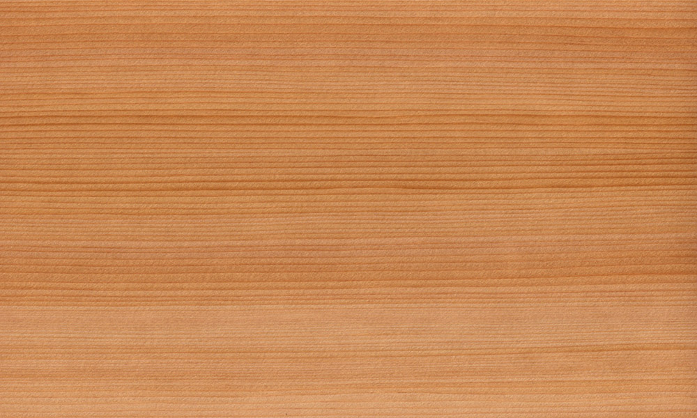 Cedar texture